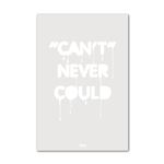 Can't Never Could - Y&R Poster 16 x 24